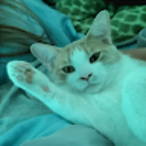 Meet your Posher, Karyn